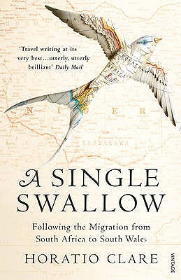A Single Swallow book cover