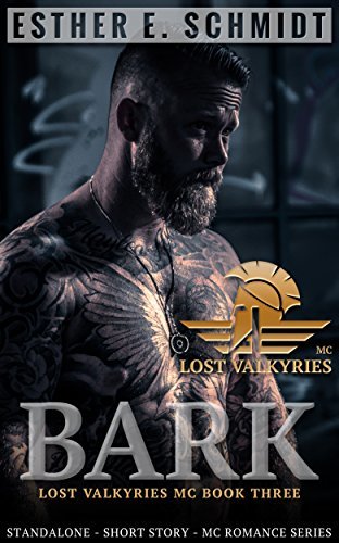 Lost Valkyries MC book cover 3