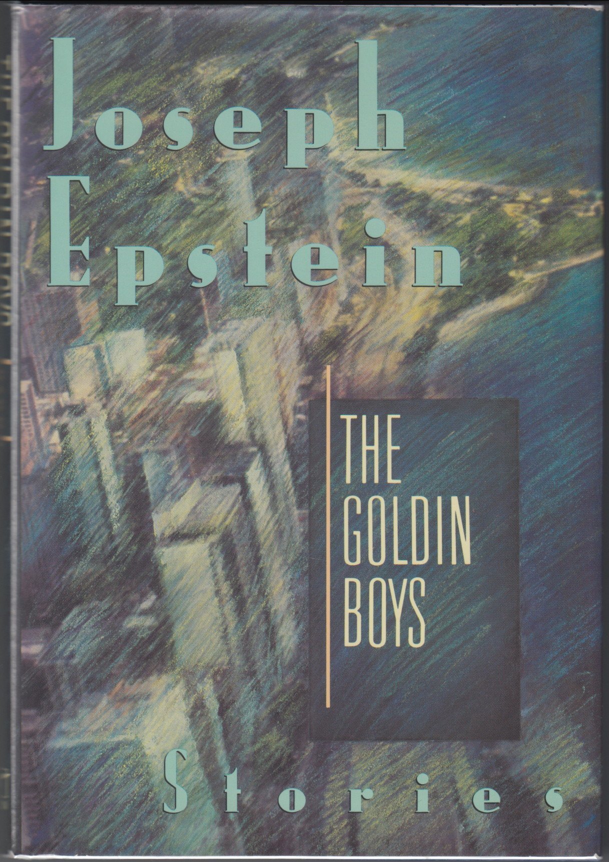Goldin Boys book cover