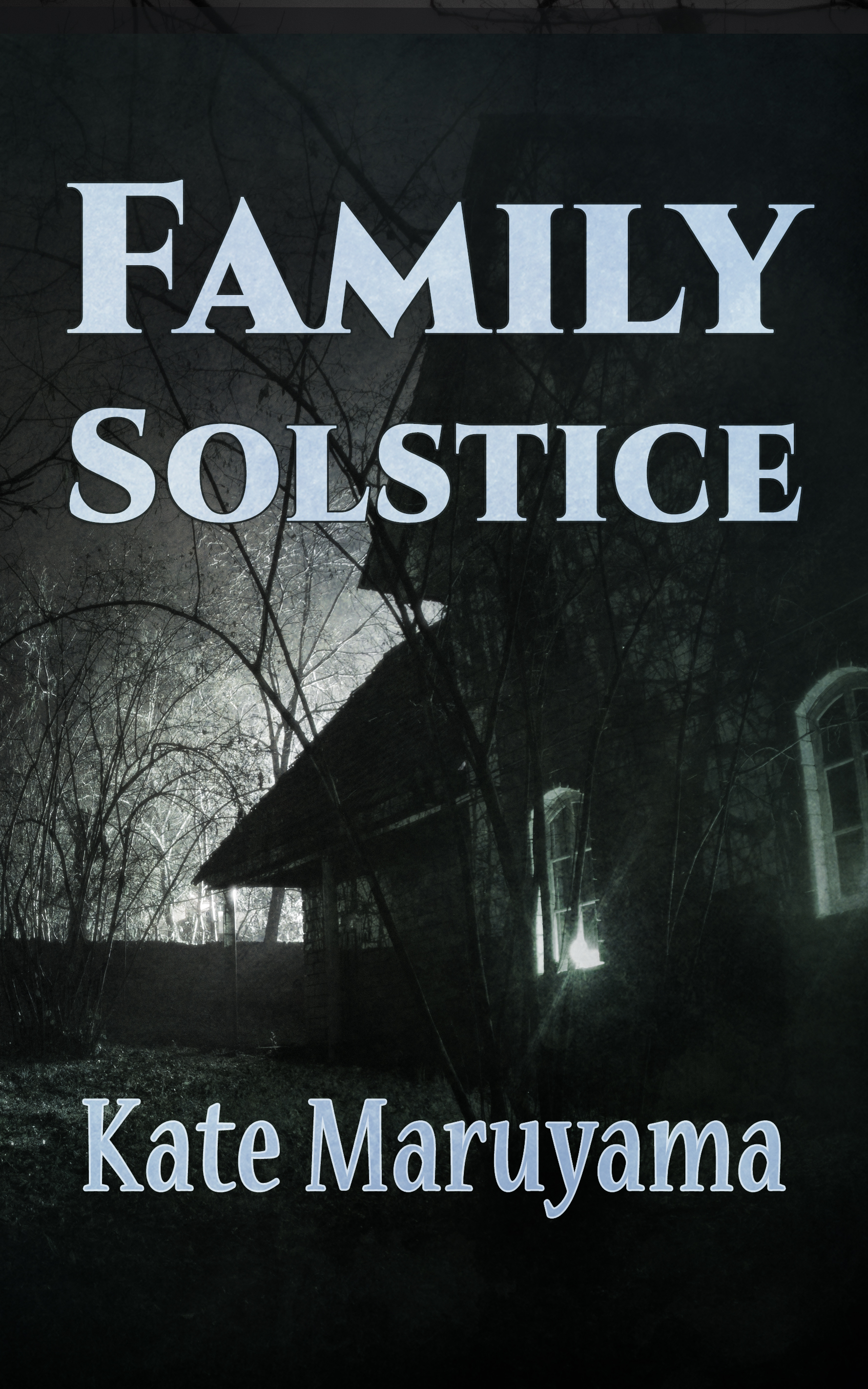 Family Solstice book cover