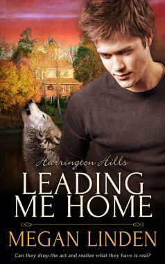 Harrington Hills book cover 1