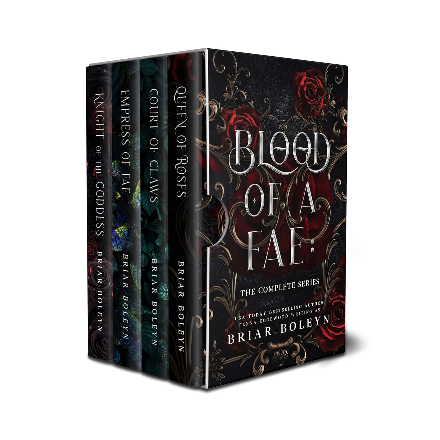 Blood of a Fae book cover