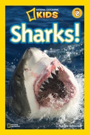Sharks! book cover