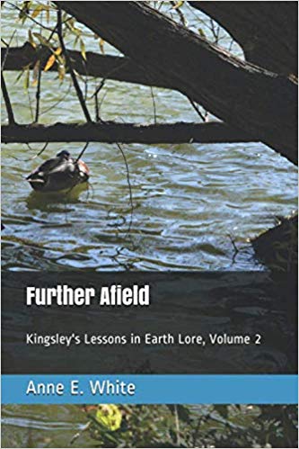 Further Afield book cover