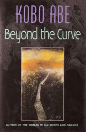 Beyond the Curve book cover