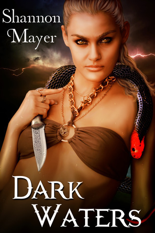 A Celtic Legacy book cover 1