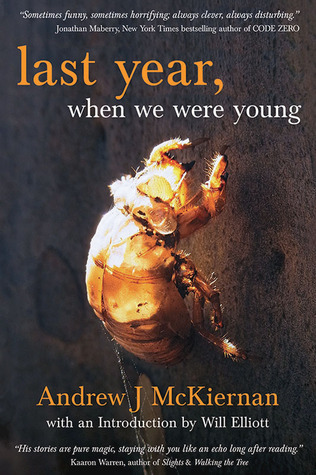 Last Year, When We Were Young book cover