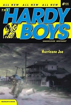 Hurricane Joe book cover