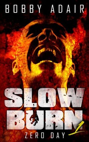 Slow Burn book cover 1