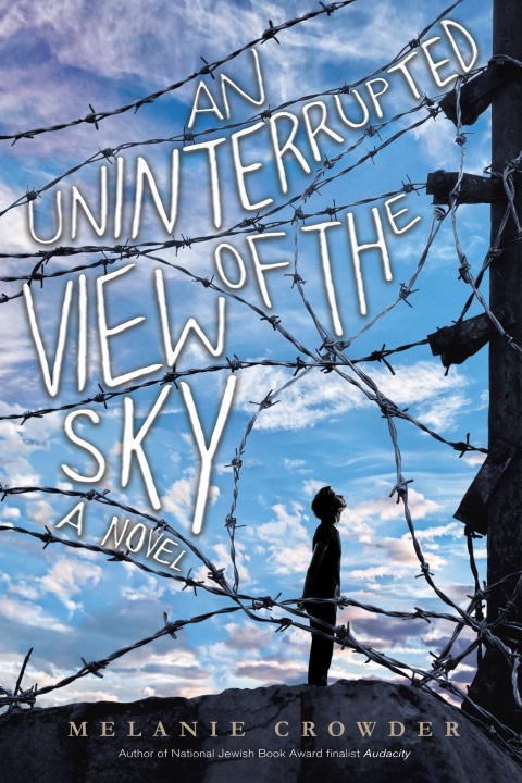 An Uninterrupted View of the Sky book cover
