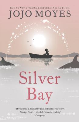 Silver Bay book cover