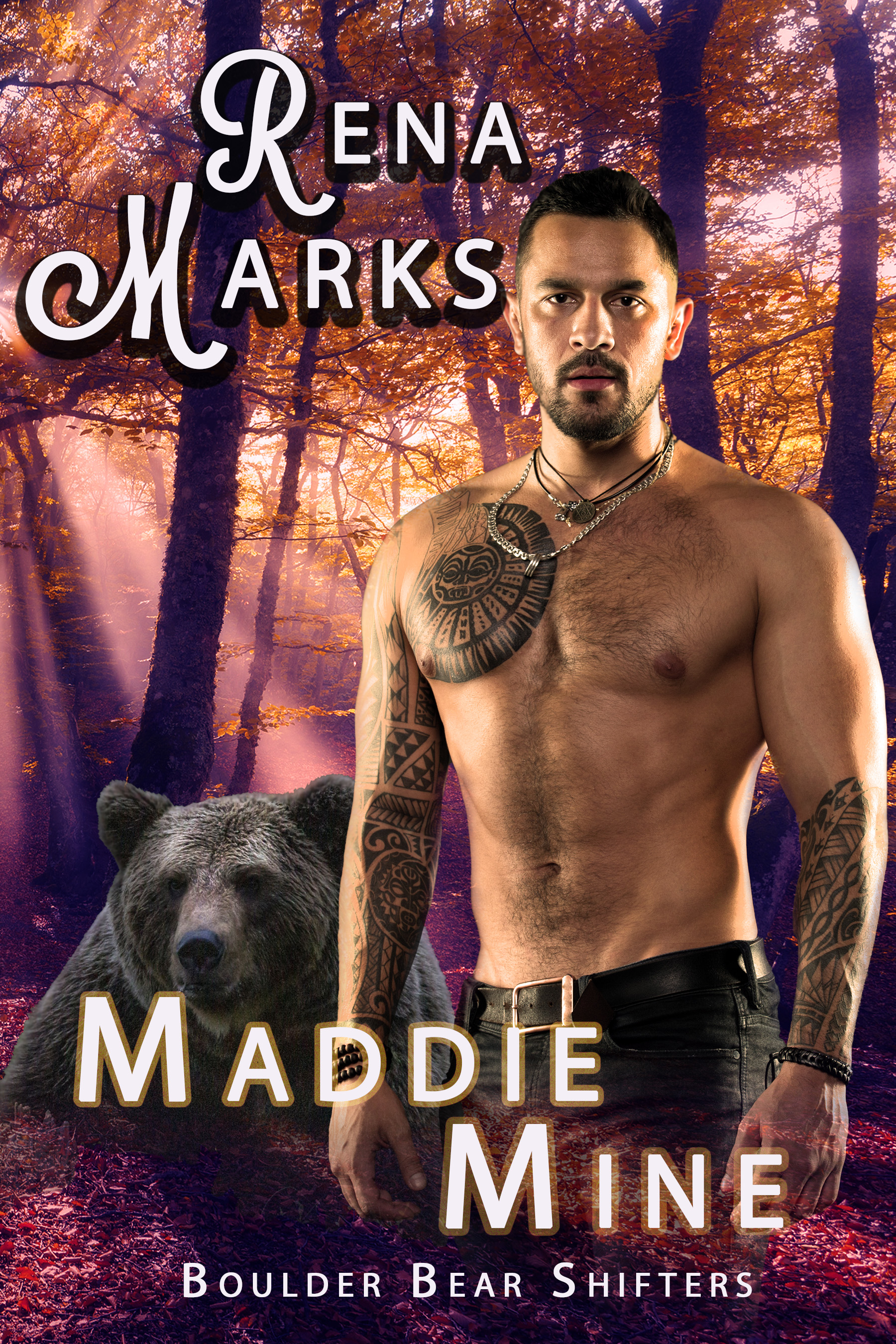 Boulder Bear Shifters book cover 1