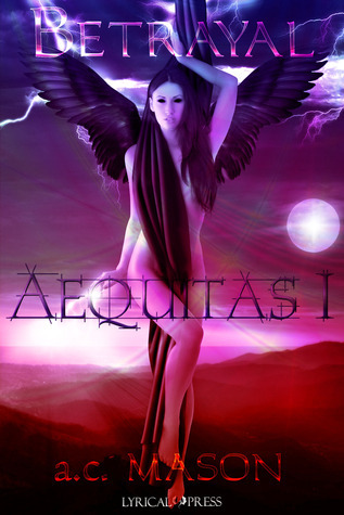 Aequitas book cover 1