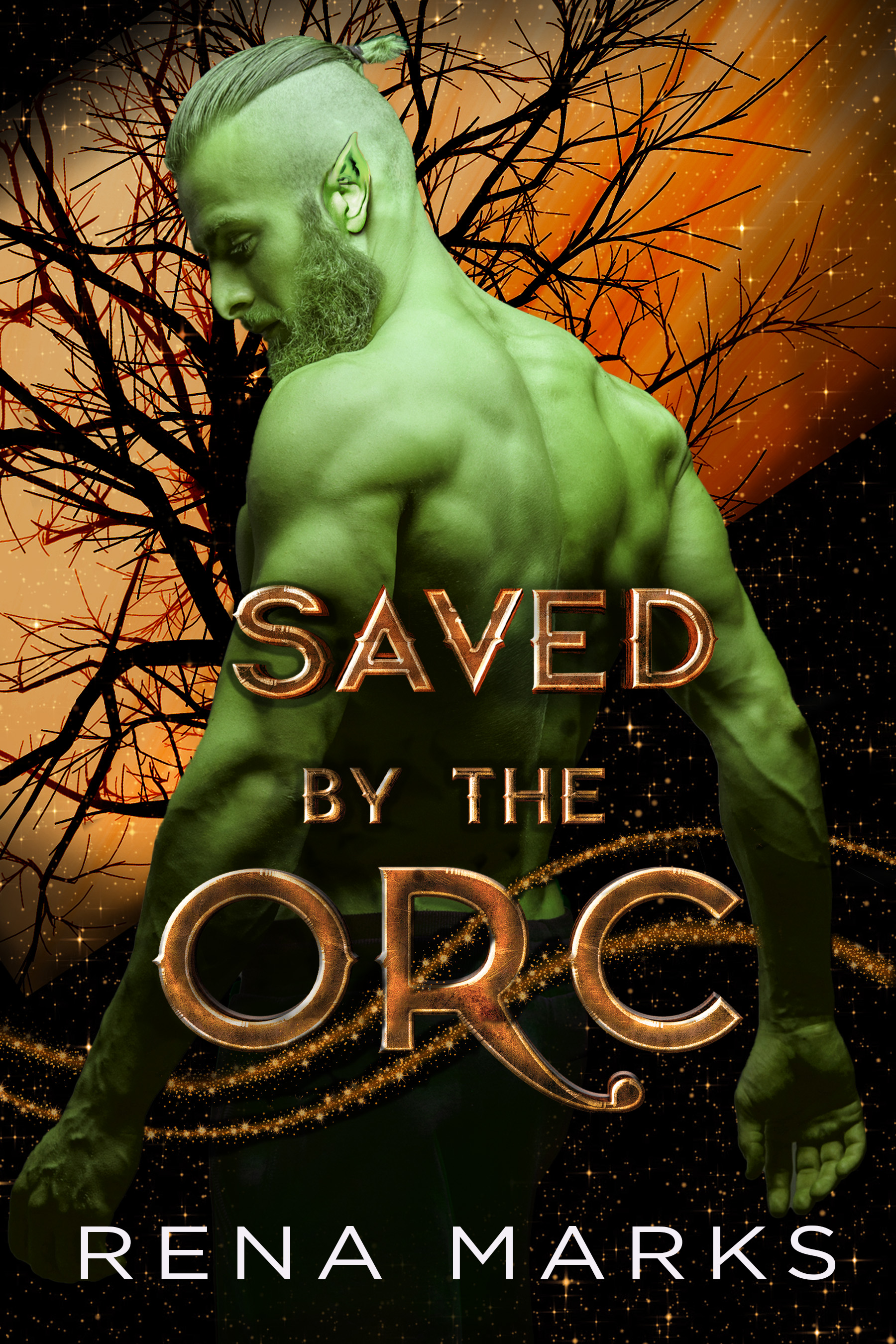 Saved By The Orc book cover
