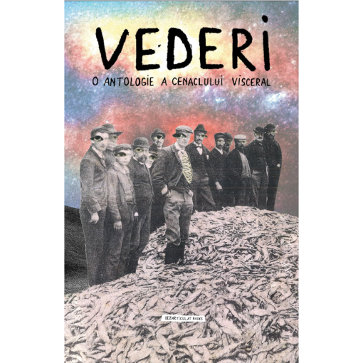 Vederi. O antologie a cenaclului Visceral book cover