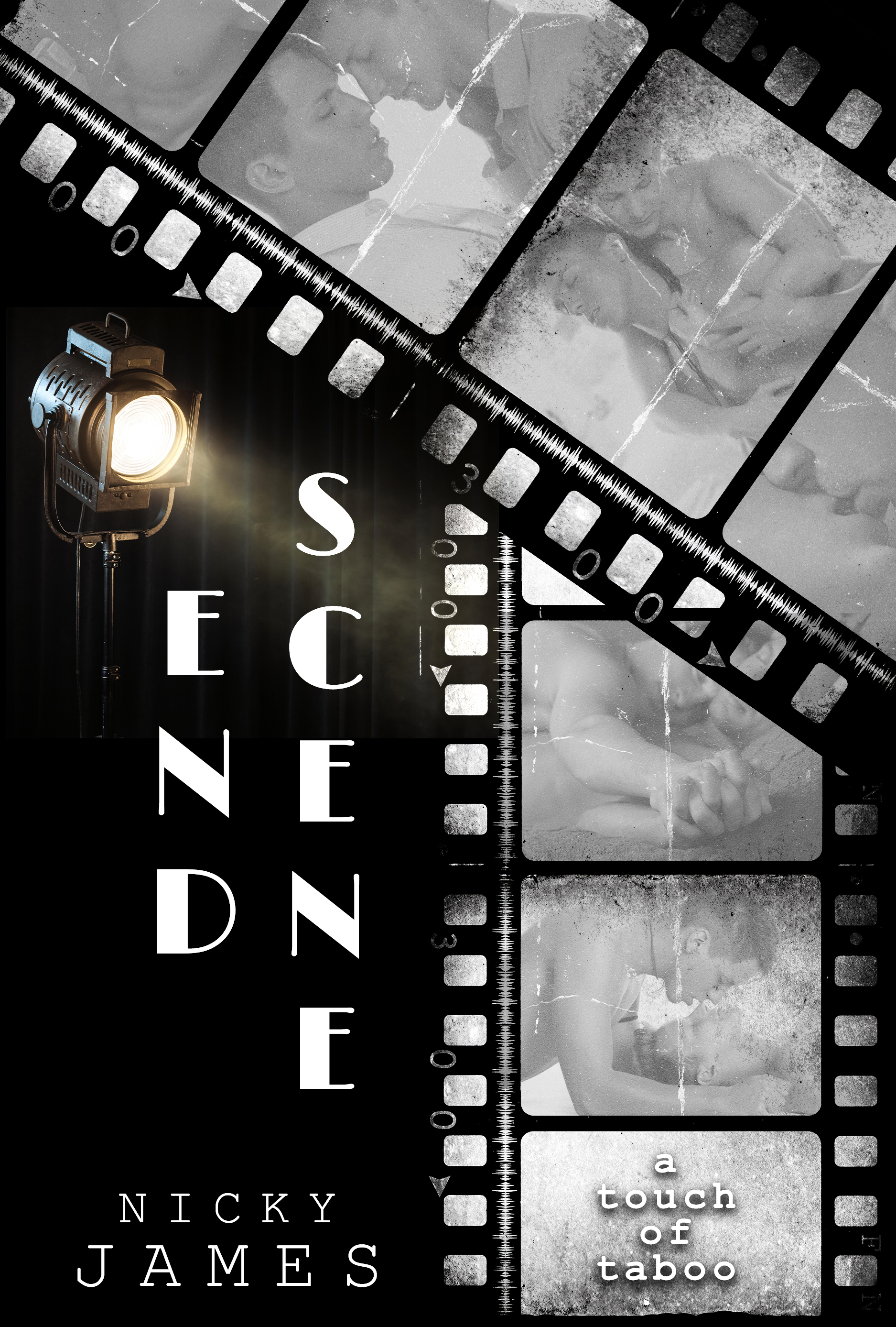 End Scene book cover