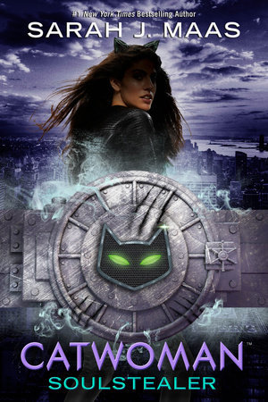 DC Icons book cover 3