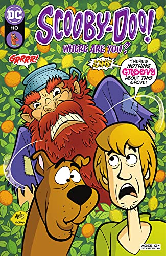 Scooby-Doo, Where Are You? (2010-) #110 book cover