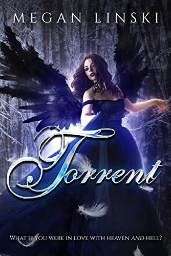 Angels & Demons book cover 1