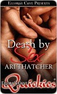 Death by Sex book cover