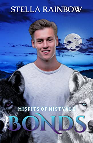 Misfits of Mistvale book cover 3