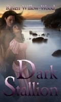 Centaur Chronicles book cover 2