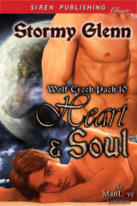 Heart & Soul book cover