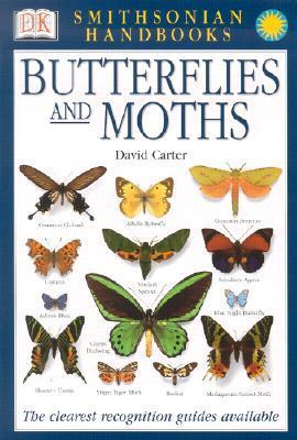 Butterflies & Moths book cover