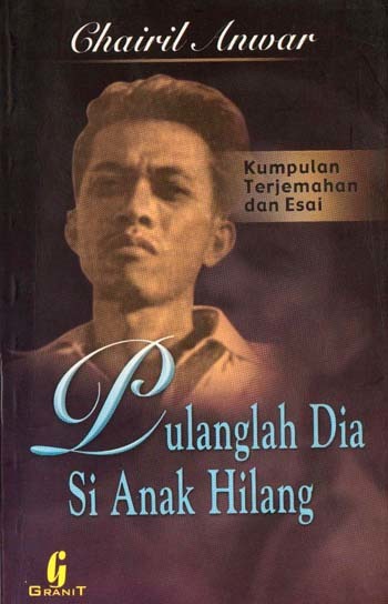 Pulanglah Dia Si Anak Hilang book cover