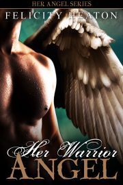 Her Angel World book cover 3