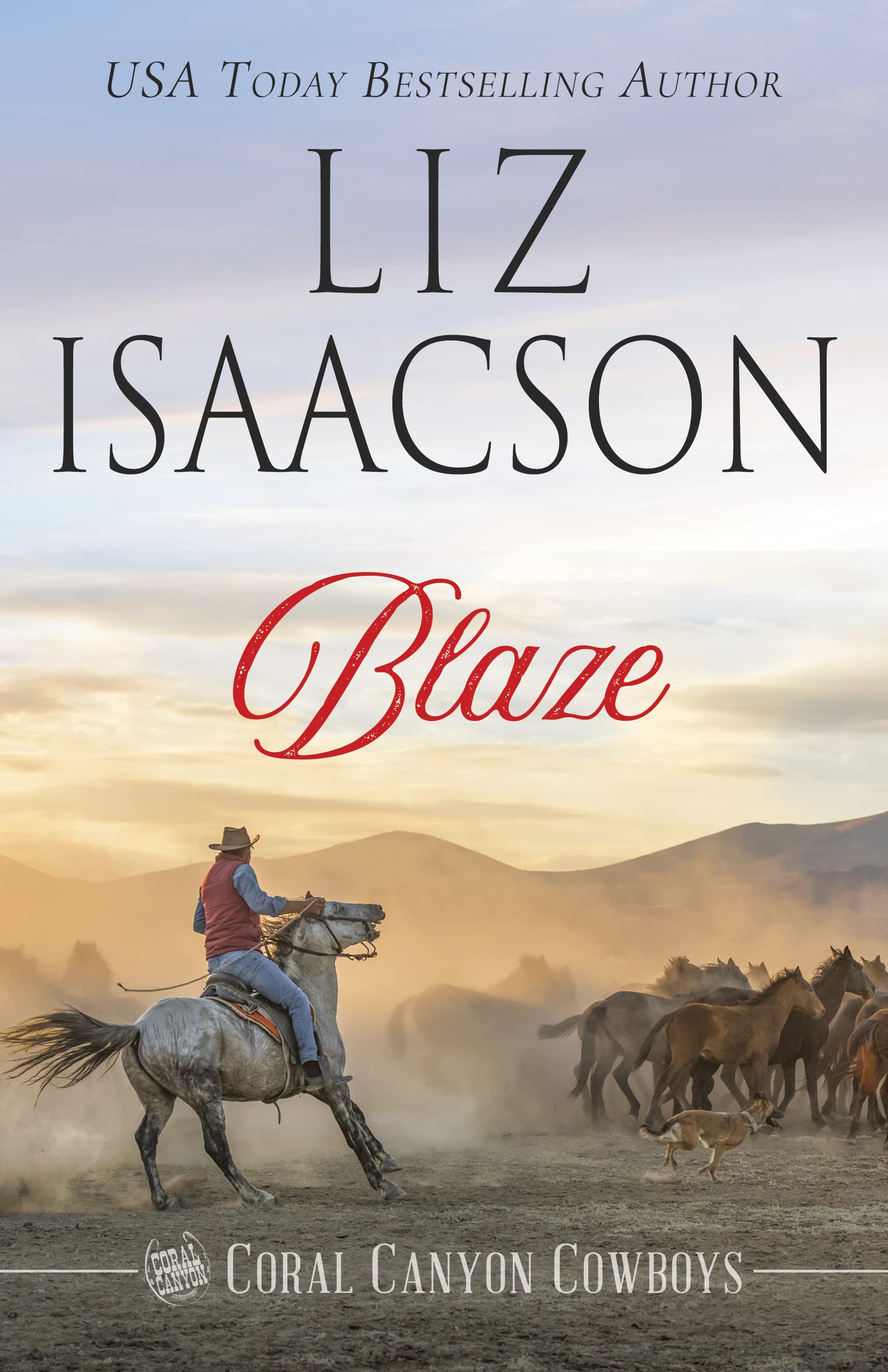 Blaze book cover