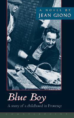 Blue Boy book cover