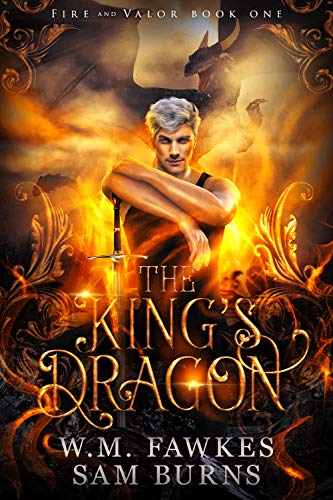 Fire and Valor book cover 1