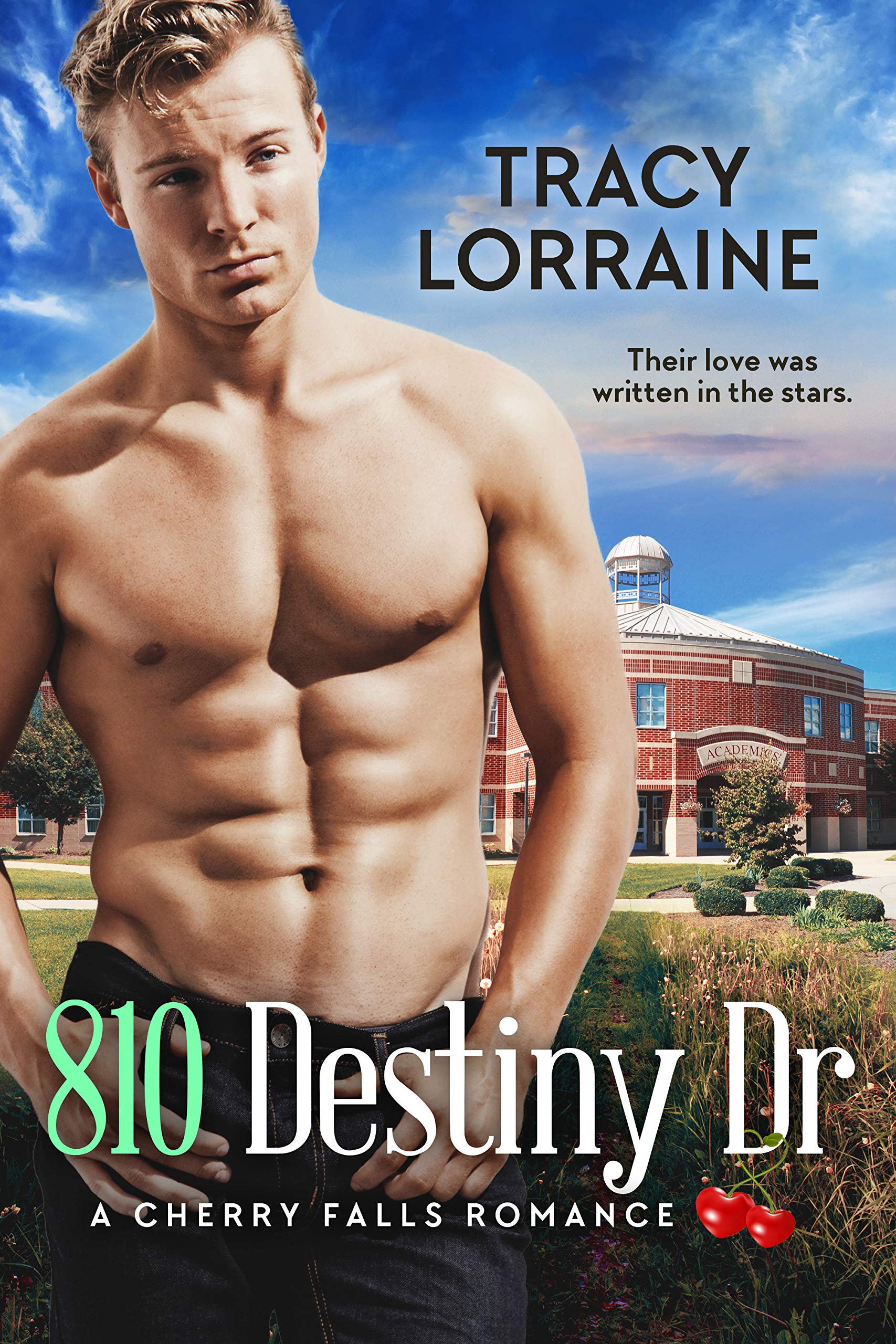 810 Destiny Dr. book cover