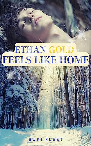 Ethan Gold Feels Like Home book cover