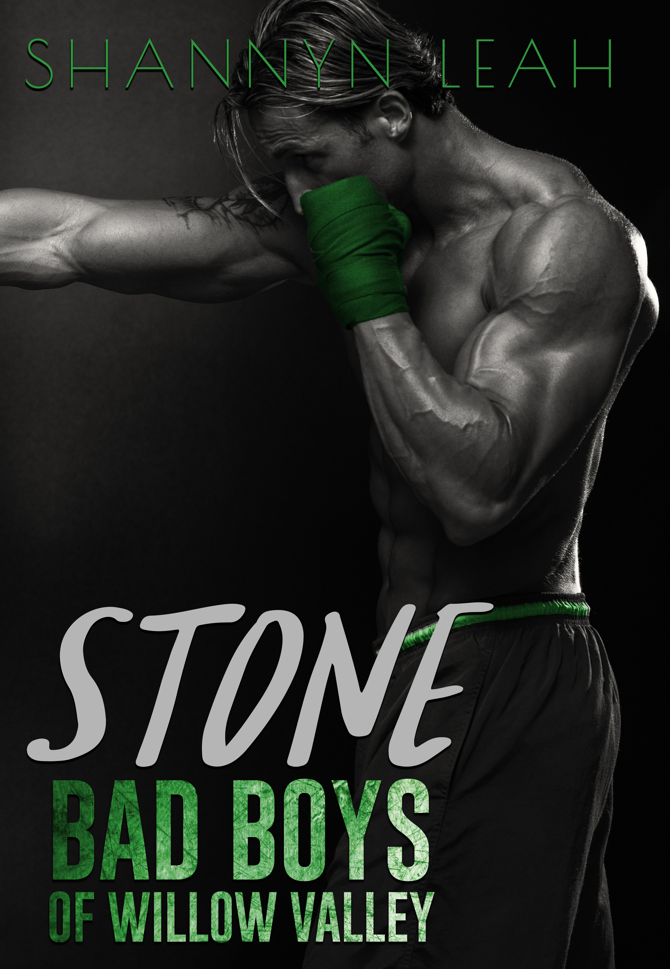 Bad Boys of Willow Valley book cover 2