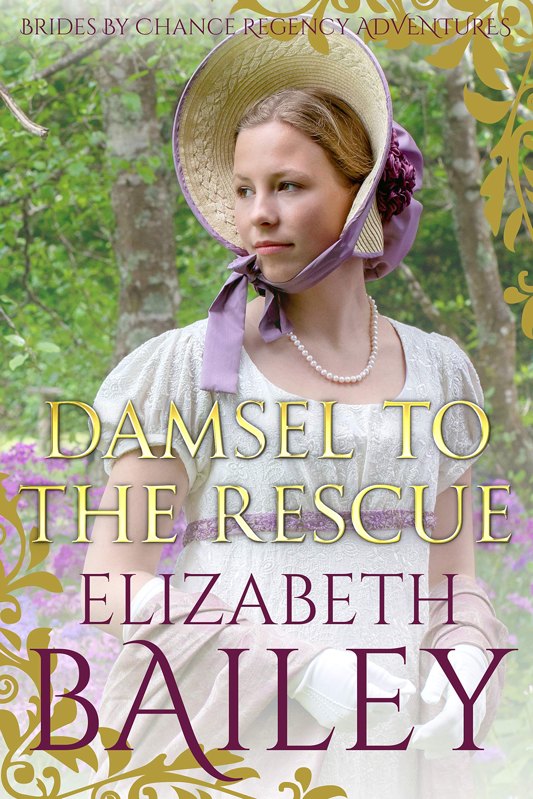 Damsel To The Rescue book cover