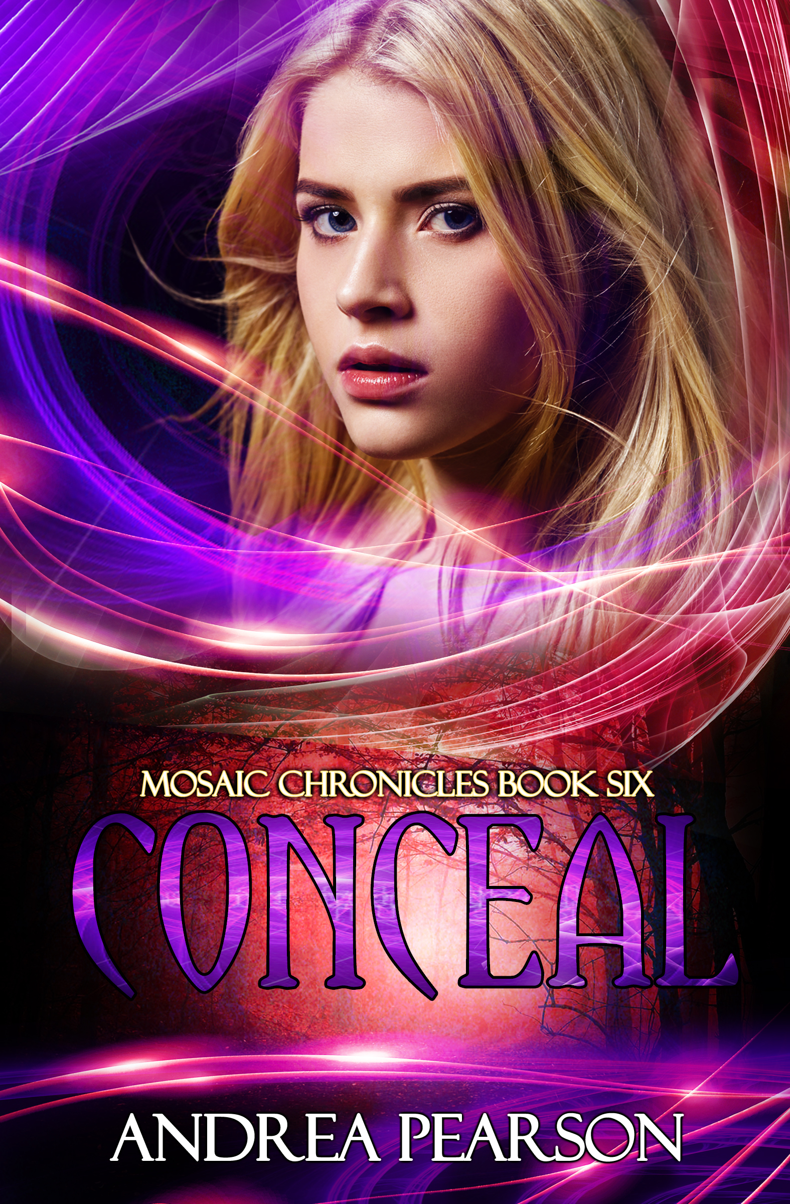 Conceal book cover