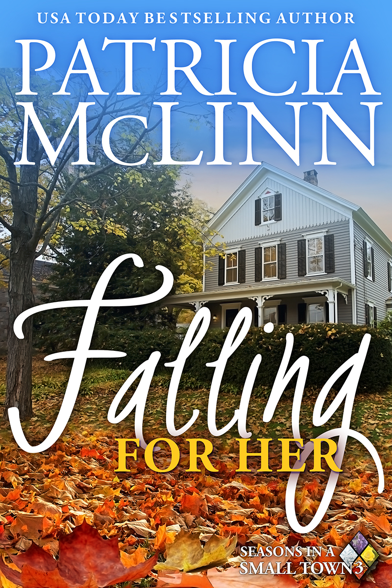 Seasons in a Small Town book cover 2