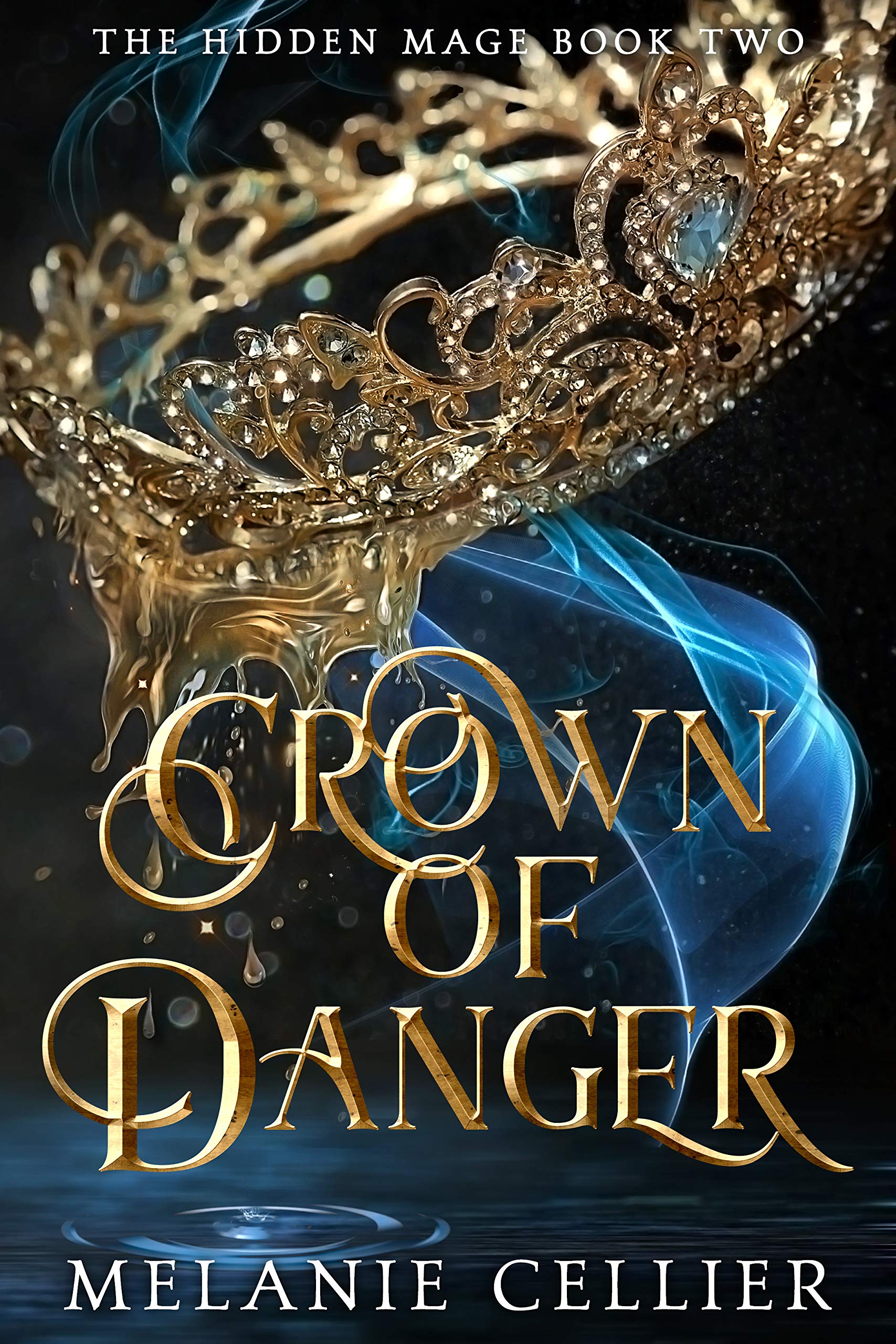 The Hidden Mage book cover 2
