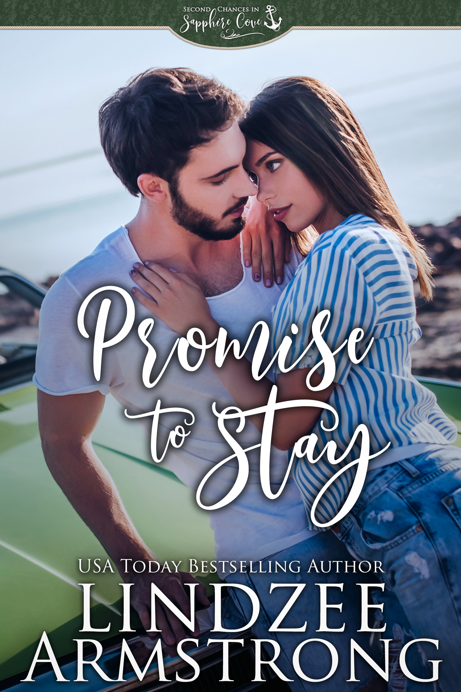 Promise to Stay book cover