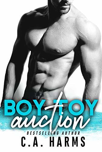 Boy Toy Auction book cover