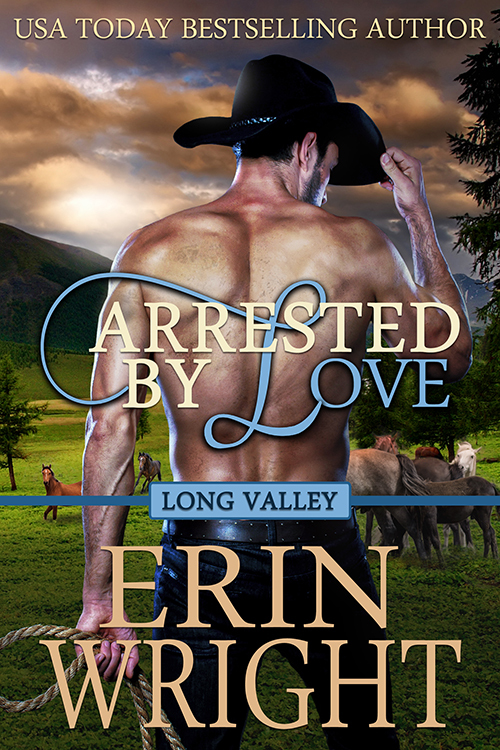 Long Valley book cover 1