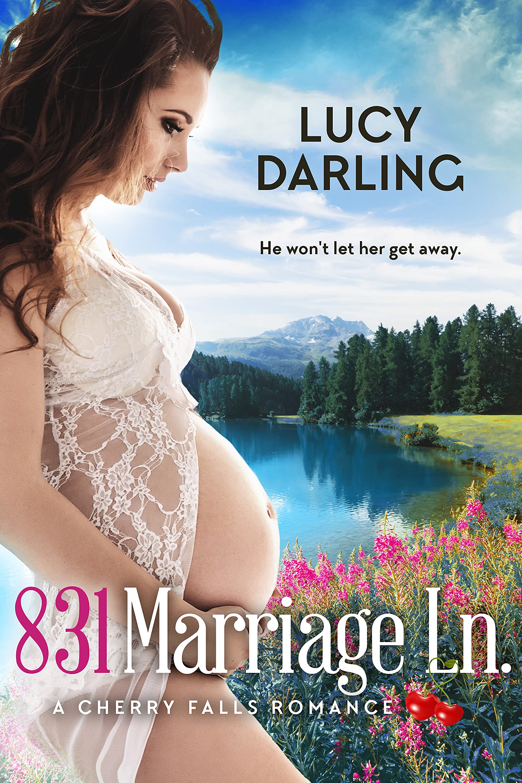 831 Marriage Lane book cover