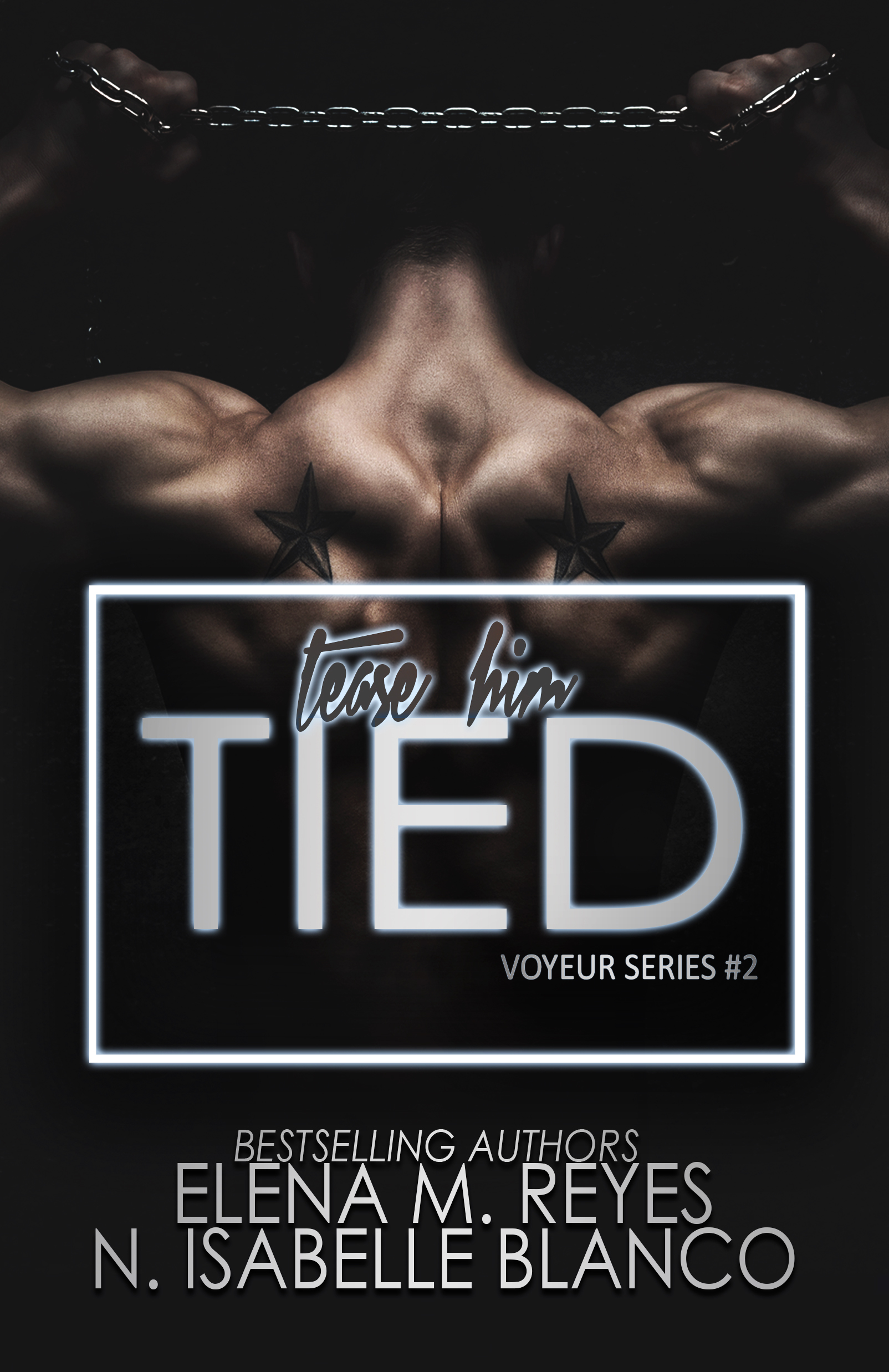 Voyeur book cover 2