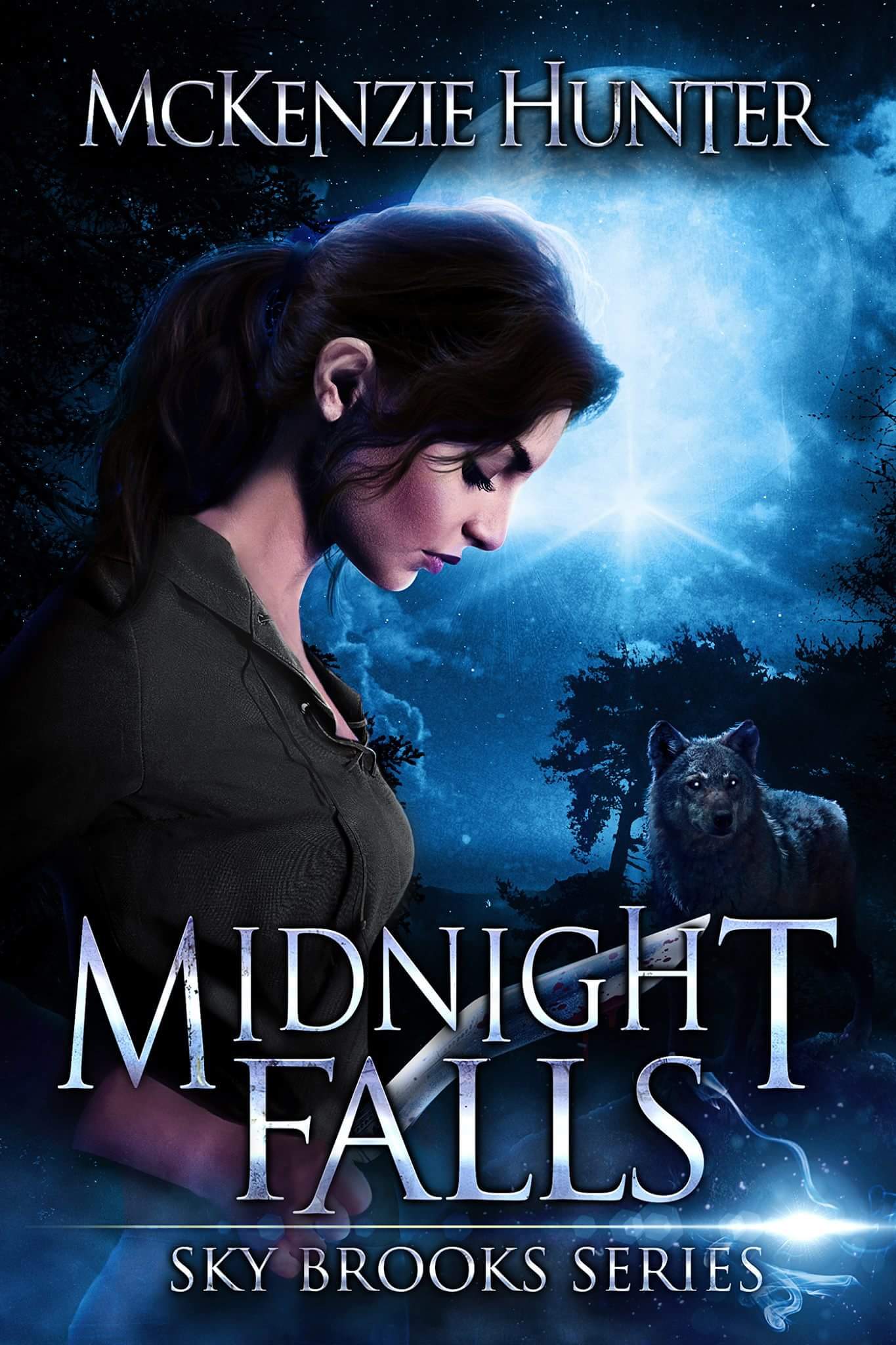 Sky Brooks book cover 3