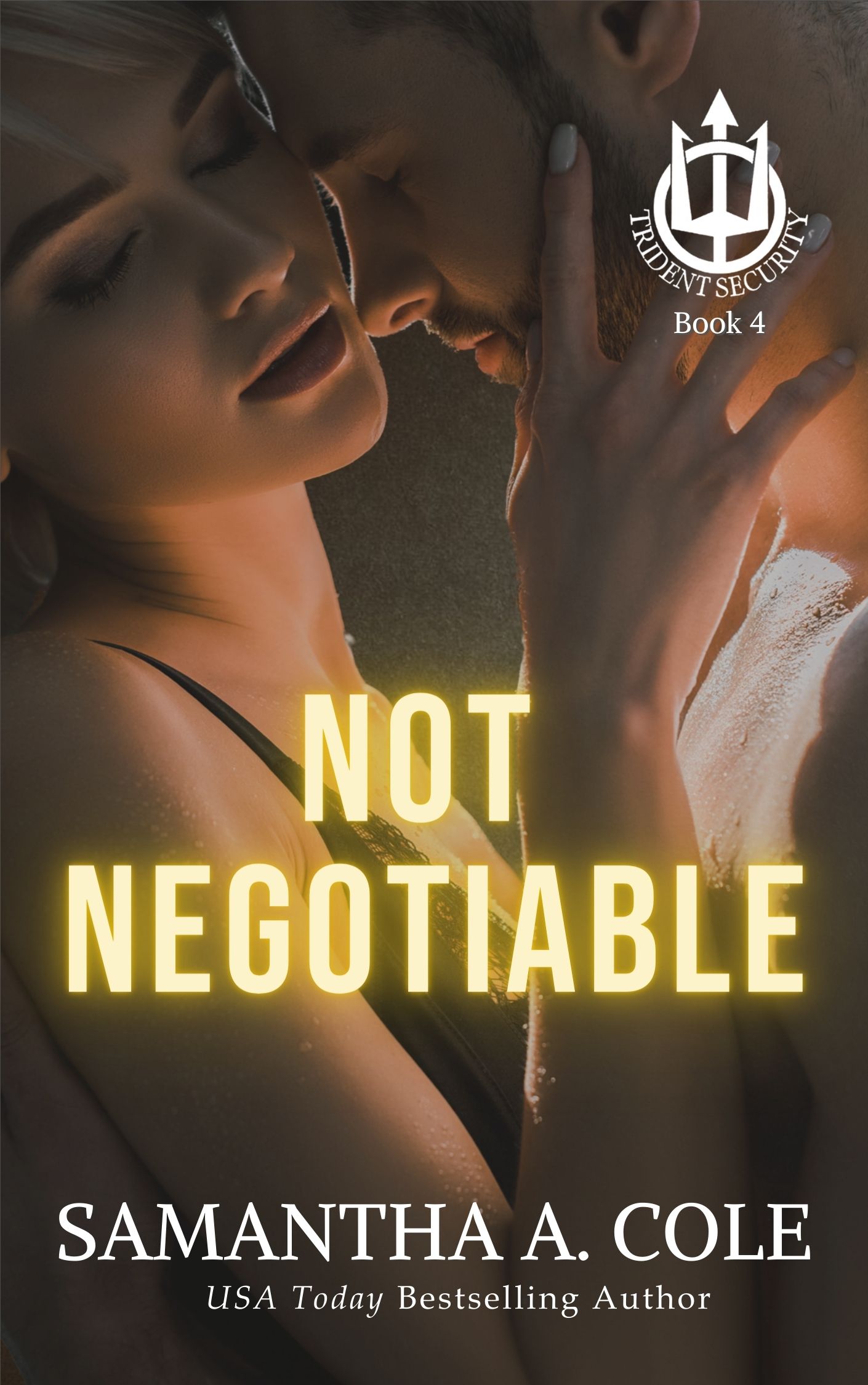 Not Negotiable book cover
