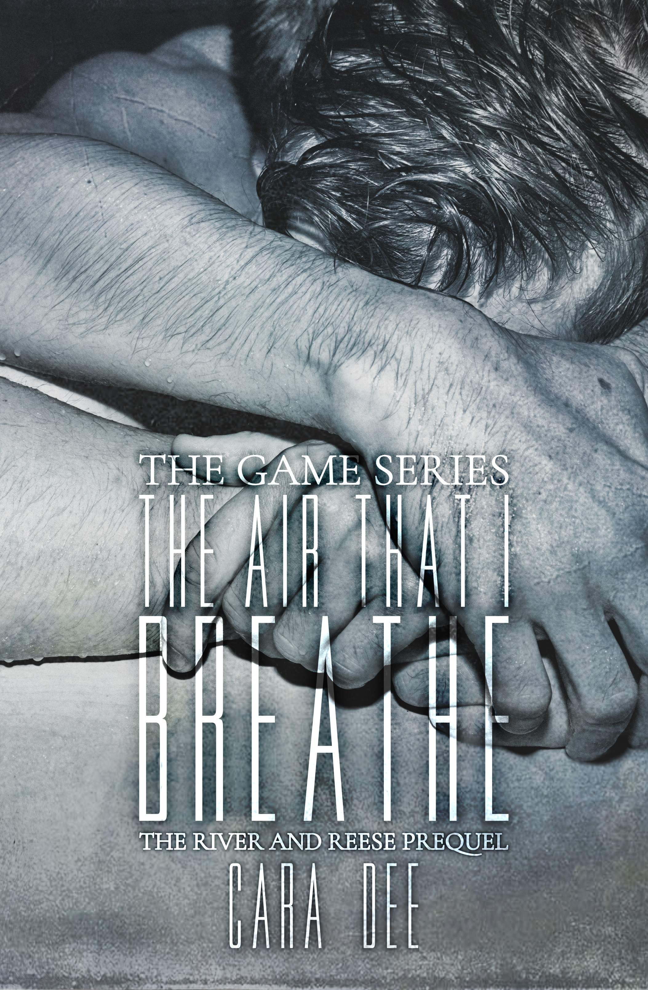 The Air That I Breathe book cover
