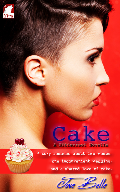 Cake book cover
