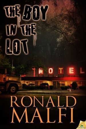 The Boy in the Lot book cover